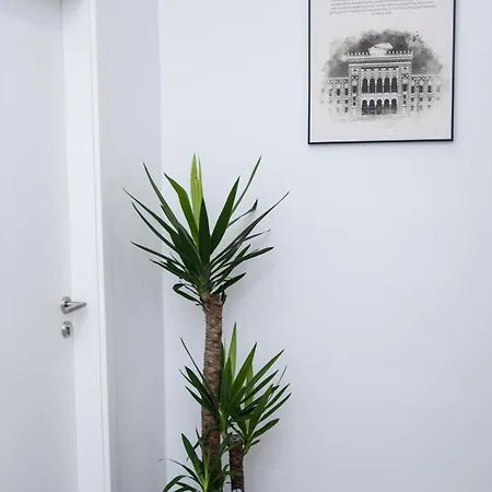 Azzurro Apartment