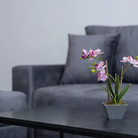 Azzurro * Saraybosna