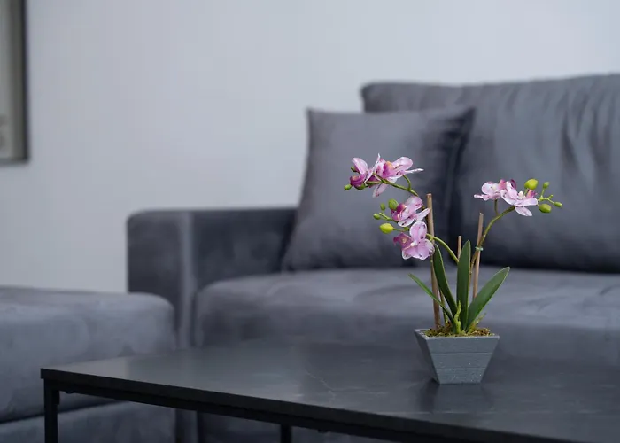 Azzurro * Σαράγεβο